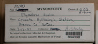 Image Associated With the Occurence